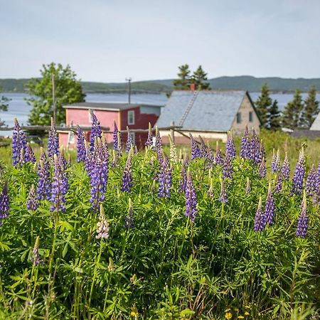 George House Heritage Bed And Breakfast Dildo Eksteriør bilde